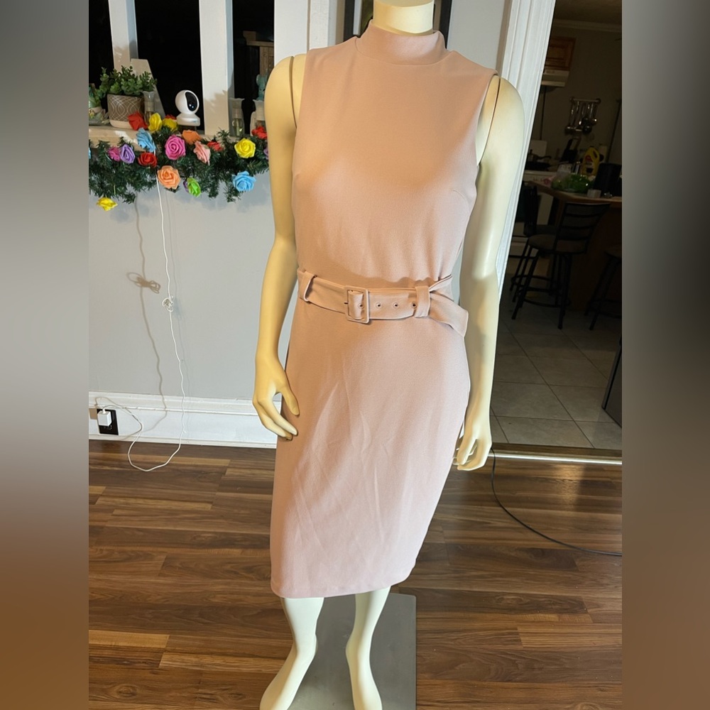 Express Elegant pink dress
